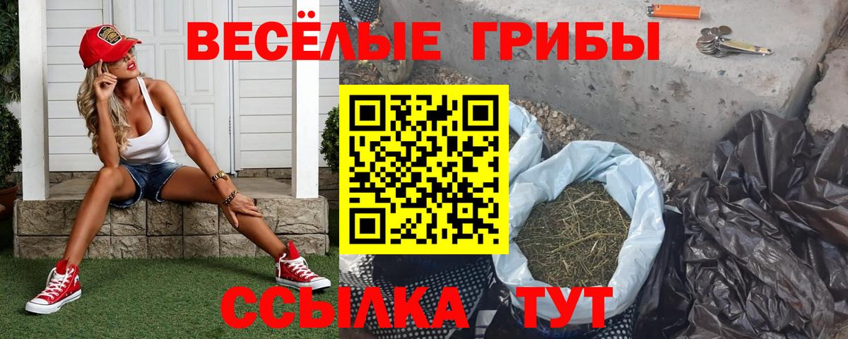 Сургут  Псилоцибиновые грибы Cubensis  Псилоцибиновые грибы GOLDEN TEACHER  Вход с VPN 