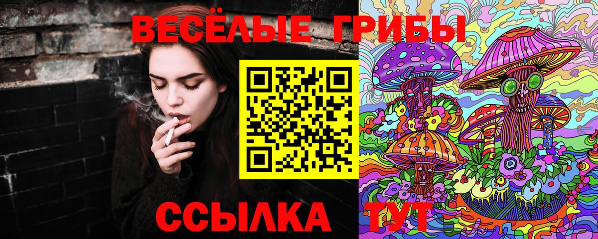 Псилоцибиновые грибы мицелий Сургут